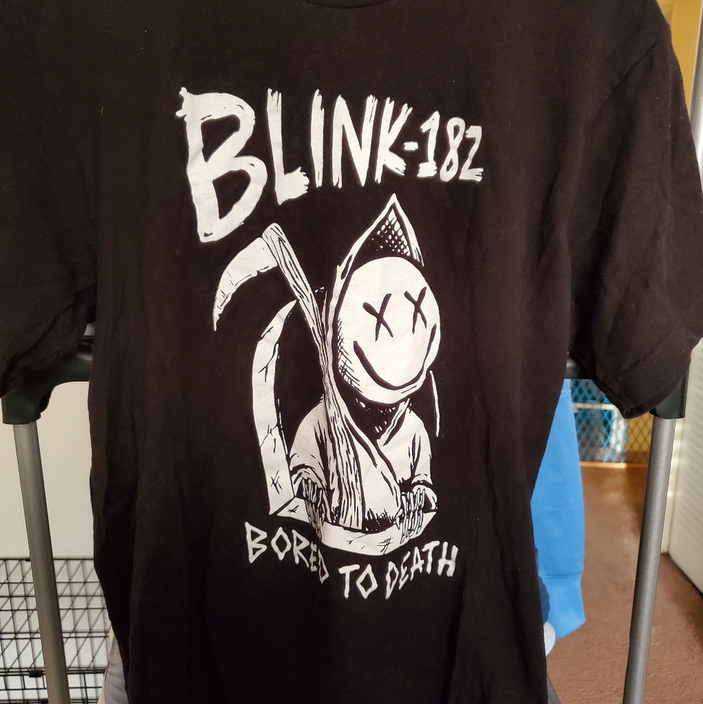 Blink 182 concert shirt